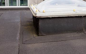 disadvantages of Fort Matilda flat roofs